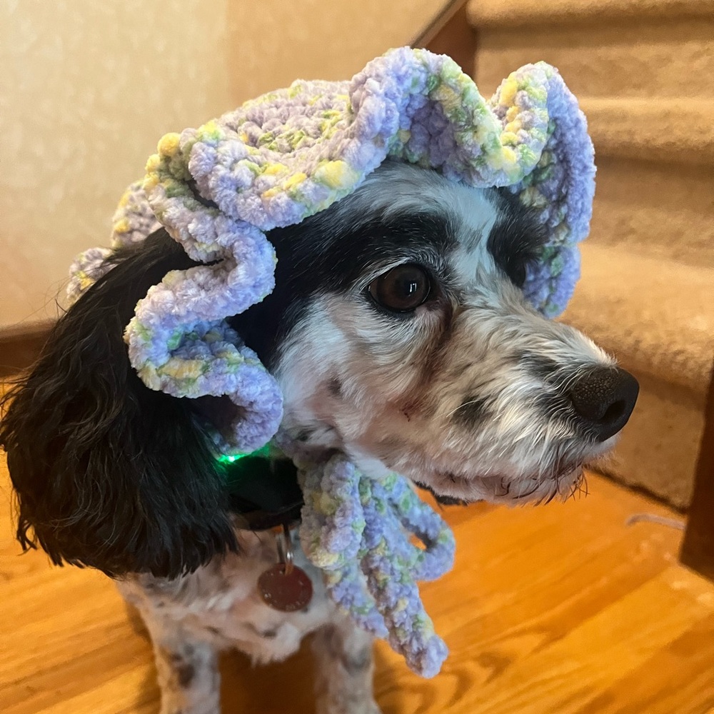 Handmade Purple and Yellow Crochet Dog Bucket Hat - NEW